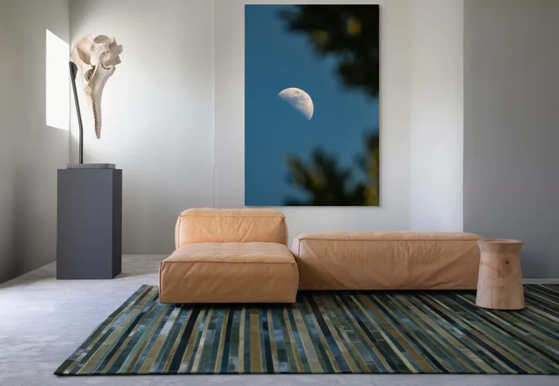 Tablou Canvas, "Luna printre ramuri întunecate", Lună, Cer, Umbre, Natură, Lumină, Seară, Mister, Calm, Frumusețe, Contrast, 100 x 150 cm – poza 7