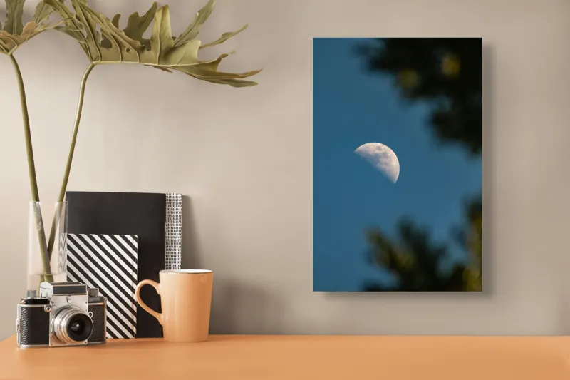 Tablou Canvas, "Luna printre ramuri întunecate", Lună, Cer, Umbre, Natură, Lumină, Seară, Mister, Calm, Frumusețe, Contrast, 26 x 39 cm – poza 3
