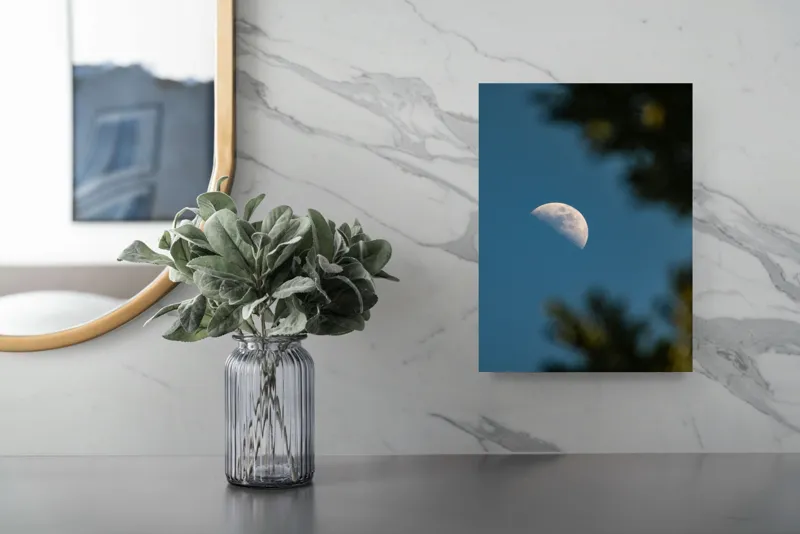 Tablou Canvas, "Luna printre ramuri întunecate", Lună, Cer, Umbre, Natură, Lumină, Seară, Mister, Calm, Frumusețe, Contrast, 26 x 39 cm – poza 4