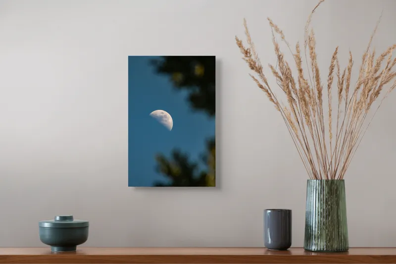 Tablou Canvas, "Luna printre ramuri întunecate", Lună, Cer, Umbre, Natură, Lumină, Seară, Mister, Calm, Frumusețe, Contrast, 26 x 39 cm – poza 5