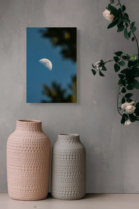 Tablou Canvas, "Luna printre ramuri întunecate", Lună, Cer, Umbre, Natură, Lumină, Seară, Mister, Calm, Frumusețe, Contrast, 26 x 39 cm – poza 6