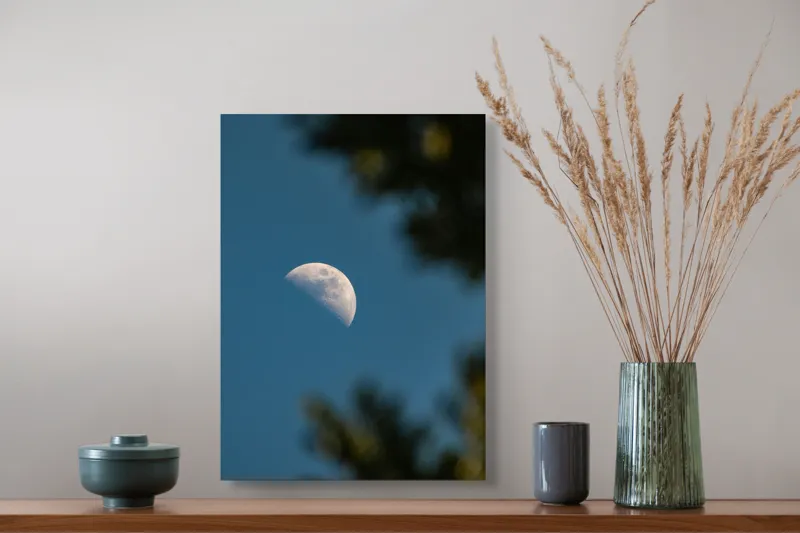 Tablou Canvas, "Luna printre ramuri întunecate", Lună, Cer, Umbre, Natură, Lumină, Seară, Mister, Calm, Frumusețe, Contrast, 39 x 54 cm – poza 3