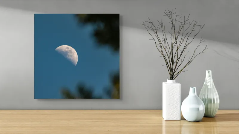 Tablou Canvas, "Luna printre ramuri întunecate", Lună, Cer, Umbre, Natură, Lumină, Seară, Mister, Calm, Frumusețe, Contrast, 50 x 50 cm – poza 3