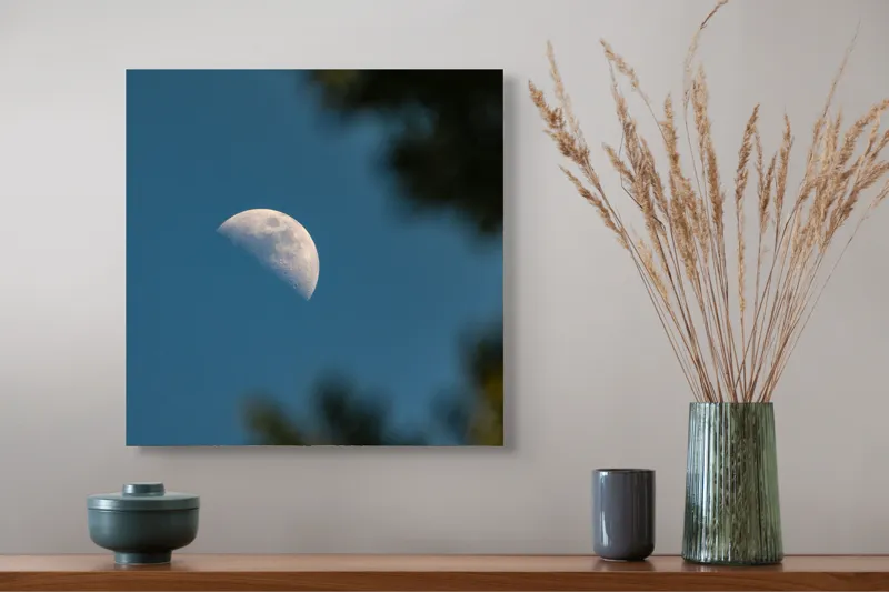 Tablou Canvas, "Luna printre ramuri întunecate", Lună, Cer, Umbre, Natură, Lumină, Seară, Mister, Calm, Frumusețe, Contrast, 50 x 50 cm – poza 4
