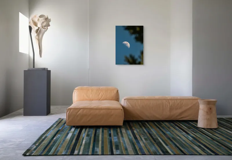 Tablou Canvas, "Luna printre ramuri întunecate", Lună, Cer, Umbre, Natură, Lumină, Seară, Mister, Calm, Frumusețe, Contrast, 50 x 70 cm – poza 7