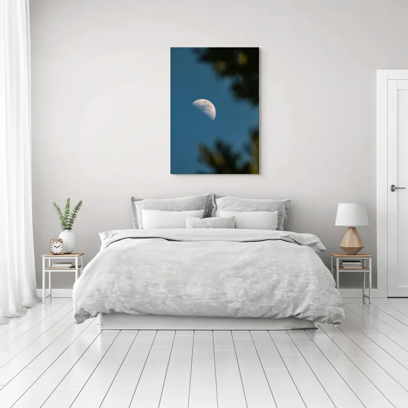 Tablou Canvas, "Luna printre ramuri întunecate", Lună, Cer, Umbre, Natură, Lumină, Seară, Mister, Calm, Frumusețe, Contrast, 70 x 100 cm – poza 3