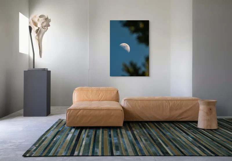 Tablou Canvas, "Luna printre ramuri întunecate", Lună, Cer, Umbre, Natură, Lumină, Seară, Mister, Calm, Frumusețe, Contrast, 70 x 100 cm – poza 7