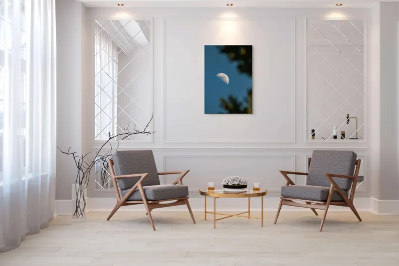 Tablou Canvas, "Luna printre ramuri întunecate", Lună, Cer, Umbre, Natură, Lumină, Seară, Mister, Calm, Frumusețe, Contrast, 70 x 100 cm – poza 8