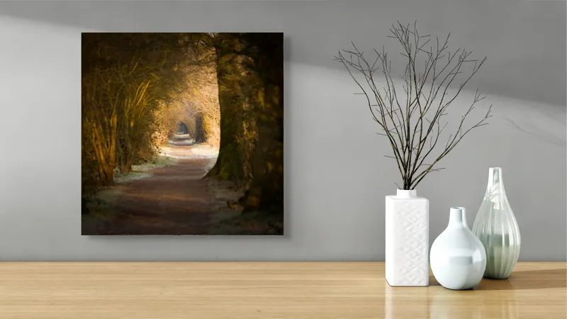 Tablou Canvas, "Poteca fermecată prin pădurea tăcută", Drum, Pădure, Lumină, Umbre, Natură, Mister, Copaci, Tunel., 50 x 50 cm – poza 3
