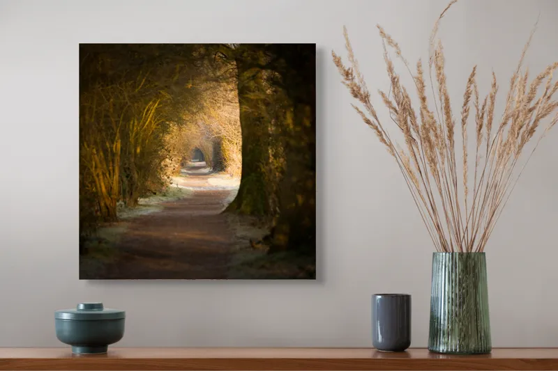 Tablou Canvas, "Poteca fermecată prin pădurea tăcută", Drum, Pădure, Lumină, Umbre, Natură, Mister, Copaci, Tunel., 50 x 50 cm – poza 4