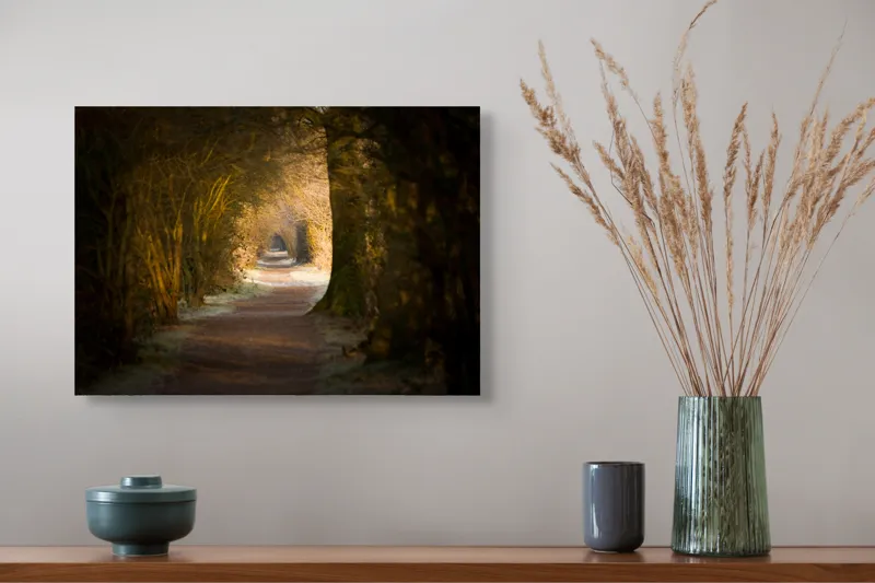 Tablou Canvas, "Poteca fermecată prin pădurea tăcută", Drum, Pădure, Lumină, Umbre, Natură, Mister, Copaci, Tunel., 54 x 39 cm – poza 4