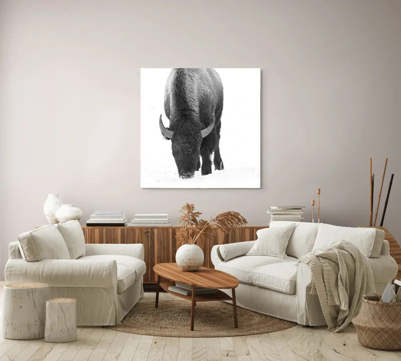 Tablou Canvas, "Bizon singuratic pe zăpadă albă", Bizon, Zăpadă, Cer, Iarnă, Solitudine, Putere, Natură, Blană, 100 x 100 cm – poza 3