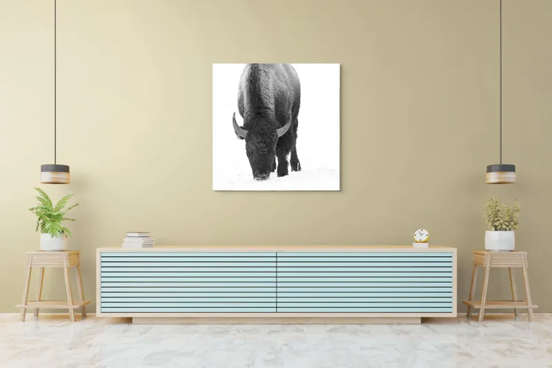 Tablou Canvas, "Bizon singuratic pe zăpadă albă", Bizon, Zăpadă, Cer, Iarnă, Solitudine, Putere, Natură, Blană, 100 x 100 cm – poza 5