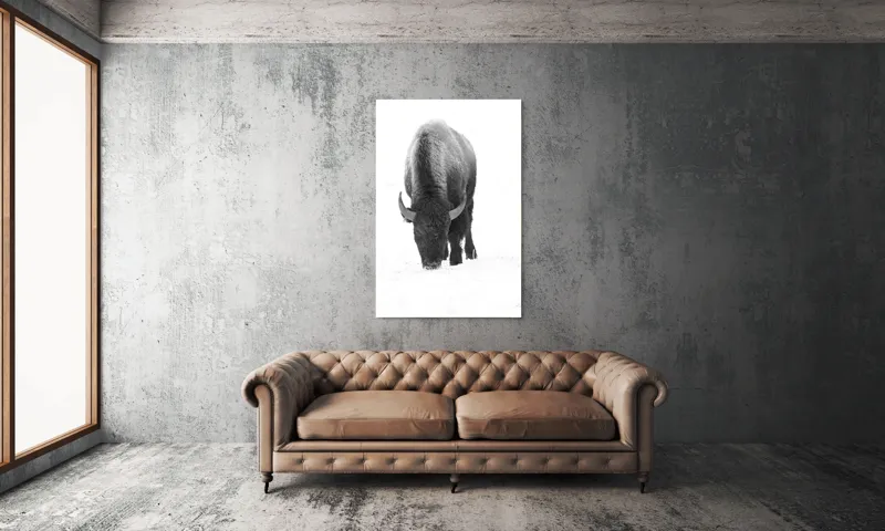 Tablou Canvas, "Bizon singuratic pe zăpadă albă", Bizon, Zăpadă, Cer, Iarnă, Solitudine, Putere, Natură, Blană, 100 x 150 cm – poza 6
