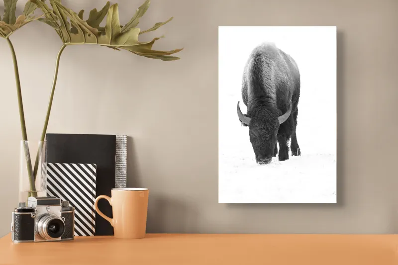 Tablou Canvas, "Bizon singuratic pe zăpadă albă", Bizon, Zăpadă, Cer, Iarnă, Solitudine, Putere, Natură, Blană, 26 x 39 cm – poza 3
