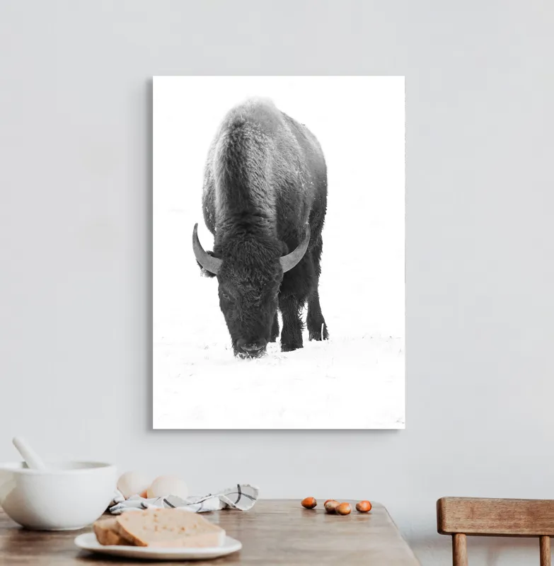 Tablou Canvas, "Bizon singuratic pe zăpadă albă", Bizon, Zăpadă, Cer, Iarnă, Solitudine, Putere, Natură, Blană, 50 x 70 cm – poza 3