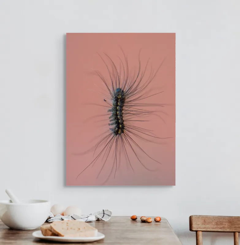 Tablou Canvas, "Omida Dansând pe Perete Roz", Mătase, Fire, Vibrație, Natură, Textură, Detaliu, Contrast, Moale, Liniar, Fragil, Organism, Pattern, Mistic, Încărcare, Creativitate, 50 x 70 cm – poza 3