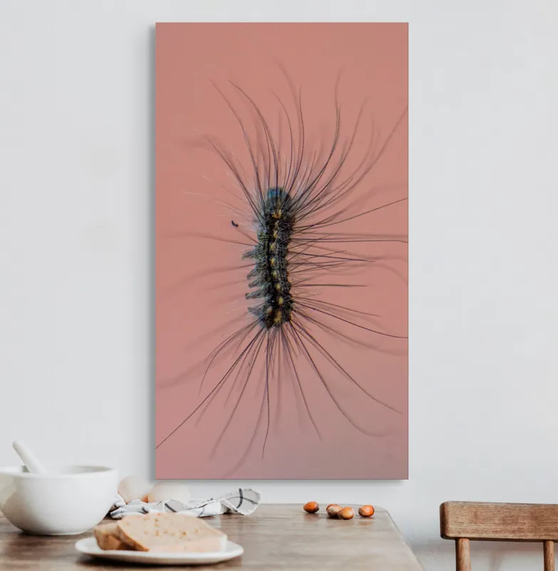 Tablou Canvas, "Omida Dansând pe Perete Roz", Mătase, Fire, Vibrație, Natură, Textură, Detaliu, Contrast, Moale, Liniar, Fragil, Organism, Pattern, Mistic, Încărcare, Creativitate, 50 x 90 cm – poza 3