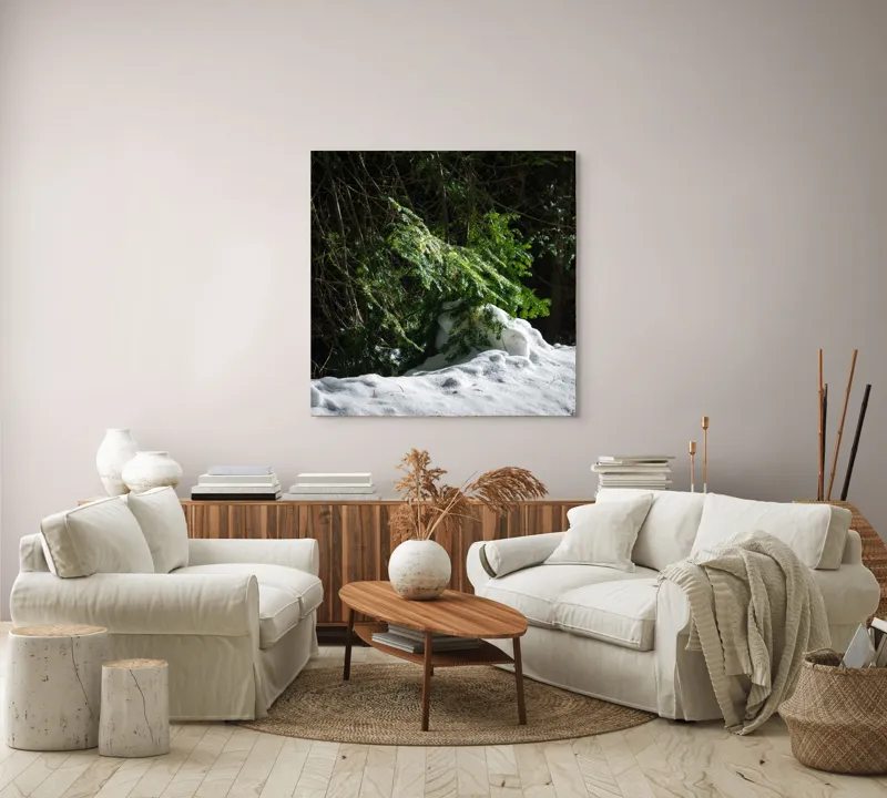 Tablou Canvas, "Brad mic sub razele soarelui", Brad, Zăpadă, Umbre, Lumină, Pădure, Iarnă, Natură, Răcoare., 100 x 100 cm – poza 3
