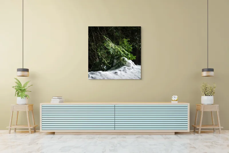 Tablou Canvas, "Brad mic sub razele soarelui", Brad, Zăpadă, Umbre, Lumină, Pădure, Iarnă, Natură, Răcoare., 100 x 100 cm – poza 5