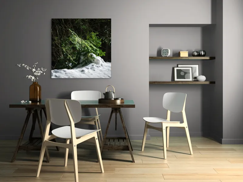 Tablou Canvas, "Brad mic sub razele soarelui", Brad, Zăpadă, Umbre, Lumină, Pădure, Iarnă, Natură, Răcoare., 100 x 100 cm – poza 6