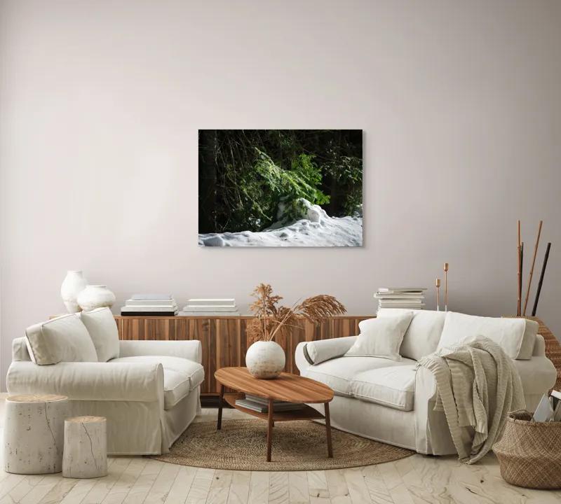 Tablou Canvas, "Brad mic sub razele soarelui", Brad, Zăpadă, Umbre, Lumină, Pădure, Iarnă, Natură, Răcoare., 100 x 70 cm – poza 3