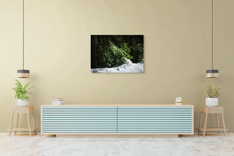 Tablou Canvas, "Brad mic sub razele soarelui", Brad, Zăpadă, Umbre, Lumină, Pădure, Iarnă, Natură, Răcoare., 100 x 70 cm – poza 4