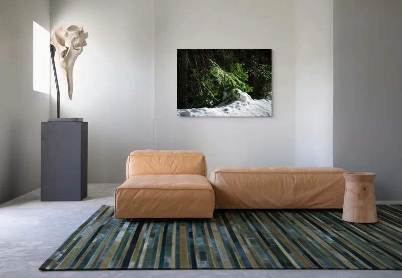 Tablou Canvas, "Brad mic sub razele soarelui", Brad, Zăpadă, Umbre, Lumină, Pădure, Iarnă, Natură, Răcoare., 100 x 70 cm – poza 7