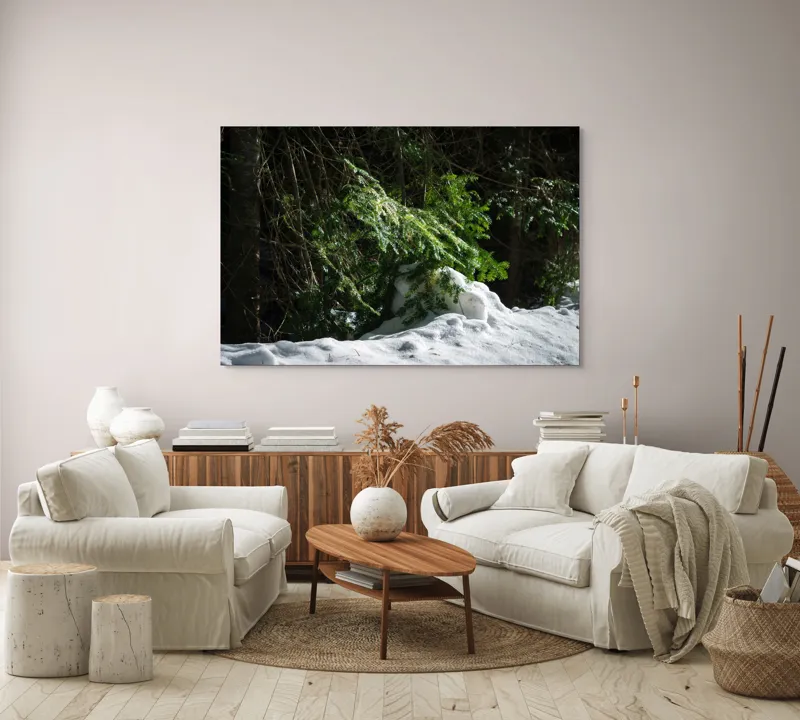 Tablou Canvas, "Brad mic sub razele soarelui", Brad, Zăpadă, Umbre, Lumină, Pădure, Iarnă, Natură, Răcoare., 150 x 100 cm – poza 3