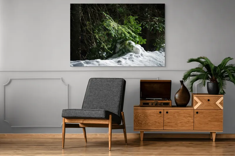 Tablou Canvas, "Brad mic sub razele soarelui", Brad, Zăpadă, Umbre, Lumină, Pădure, Iarnă, Natură, Răcoare., 150 x 100 cm – poza 8