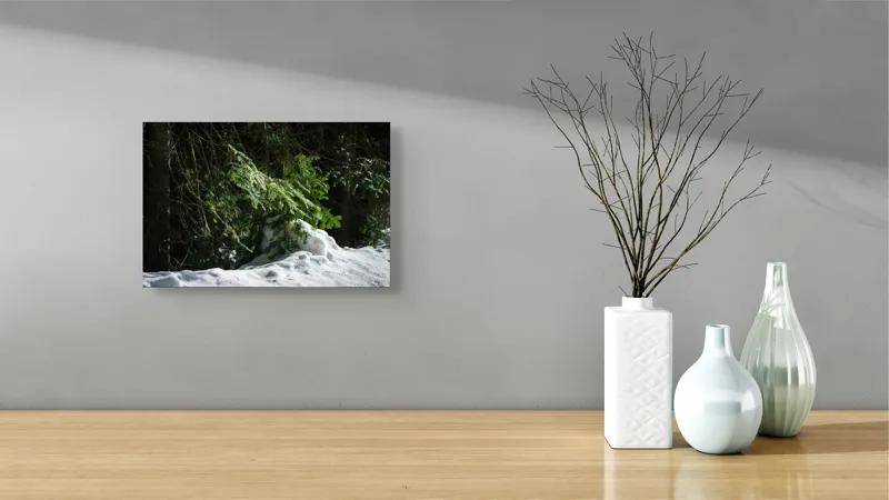 Tablou Canvas, "Brad mic sub razele soarelui", Brad, Zăpadă, Umbre, Lumină, Pădure, Iarnă, Natură, Răcoare., 39 x 26 cm – poza 8