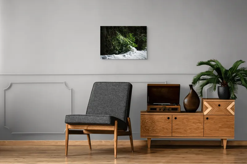 Tablou Canvas, "Brad mic sub razele soarelui", Brad, Zăpadă, Umbre, Lumină, Pădure, Iarnă, Natură, Răcoare., 70 x 50 cm – poza 4