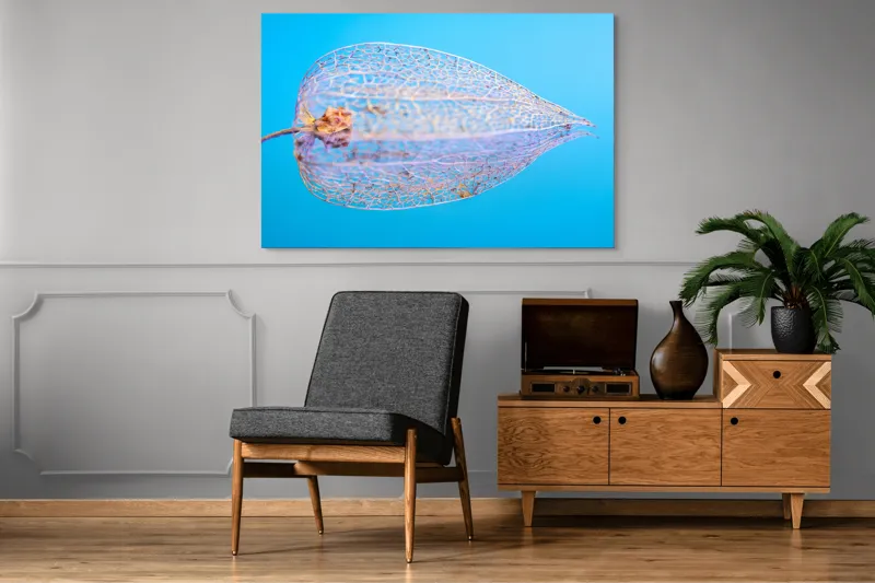 Tablou Canvas, "Armonia diafană a naturii fragile", Delicate, Transparent, Nature, Intricate, Veins, Fragile, Elegant, Blue, 150 x 100 cm – poza 8