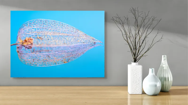 Tablou Canvas, "Armonia diafană a naturii fragile", Delicate, Transparent, Nature, Intricate, Veins, Fragile, Elegant, Blue, 70 x 50 cm – poza 3
