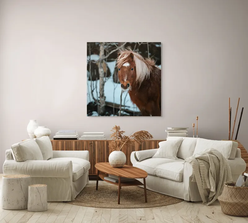 Tablou Canvas, "Poneiul în zăpada de iarnă", Cal, Blond, Pădure, Zăpadă, Privire, Răcoros, Blană, Iarnă, Copaci, 100 x 100 cm – poza 3