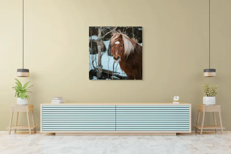 Tablou Canvas, "Poneiul în zăpada de iarnă", Cal, Blond, Pădure, Zăpadă, Privire, Răcoros, Blană, Iarnă, Copaci, 100 x 100 cm – poza 5