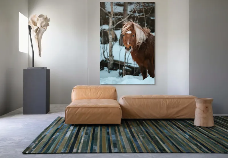 Tablou Canvas, "Poneiul în zăpada de iarnă", Cal, Blond, Pădure, Zăpadă, Privire, Răcoros, Blană, Iarnă, Copaci, 100 x 150 cm – poza 7