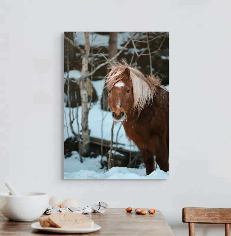 Tablou Canvas, "Poneiul în zăpada de iarnă", Cal, Blond, Pădure, Zăpadă, Privire, Răcoros, Blană, Iarnă, Copaci, 50 x 70 cm – poza 3
