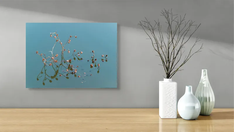 Tablou Canvas, "Reflecții delicate pe apa liniștită", Flori, Reflecții, Apă, Albastru, Natură, Liniște, Rămășițe, Artă, Serenitate, 54 x 39 cm – poza 3