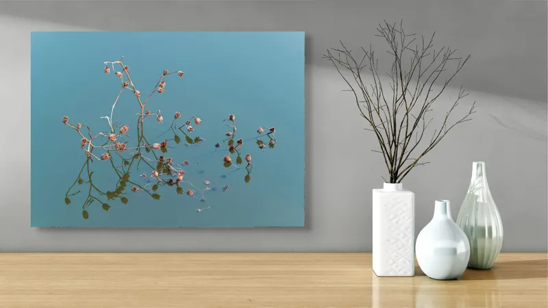 Tablou Canvas, "Reflecții delicate pe apa liniștită", Flori, Reflecții, Apă, Albastru, Natură, Liniște, Rămășițe, Artă, Serenitate, 70 x 50 cm – poza 3