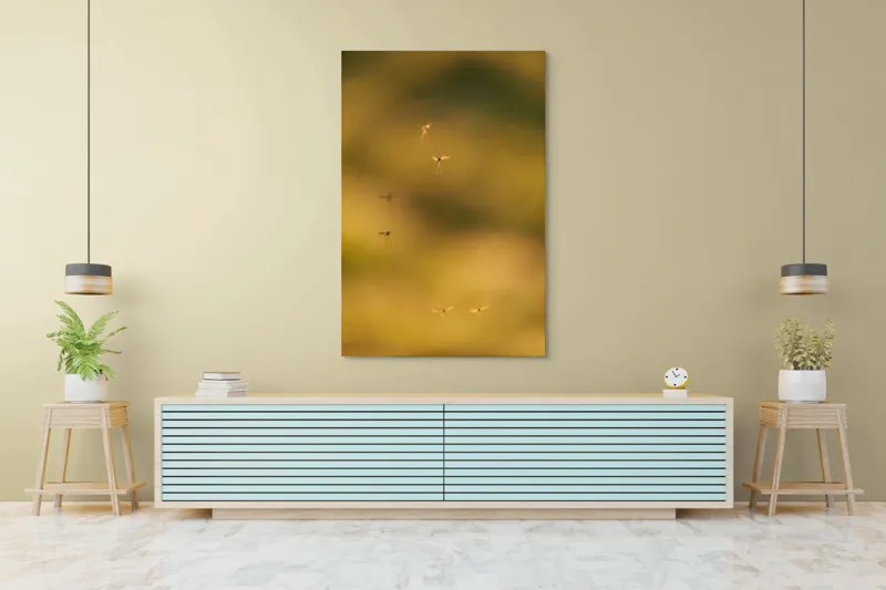Tablou Canvas, "Dansul țânțarilor în lumina apusului", Țânțari, Zbor, Etereal, Apus, Delicatețe, Natură, 100 x 150 cm – poza 4
