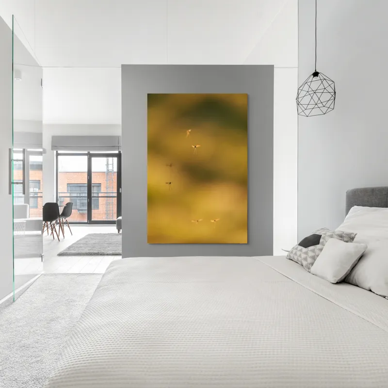 Tablou Canvas, "Dansul țânțarilor în lumina apusului", Țânțari, Zbor, Etereal, Apus, Delicatețe, Natură, 100 x 150 cm – poza 5