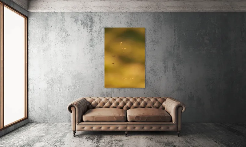 Tablou Canvas, "Dansul țânțarilor în lumina apusului", Țânțari, Zbor, Etereal, Apus, Delicatețe, Natură, 100 x 150 cm – poza 6