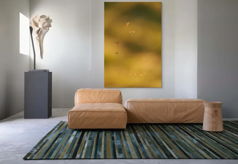Tablou Canvas, "Dansul țânțarilor în lumina apusului", Țânțari, Zbor, Etereal, Apus, Delicatețe, Natură, 100 x 150 cm – poza 7