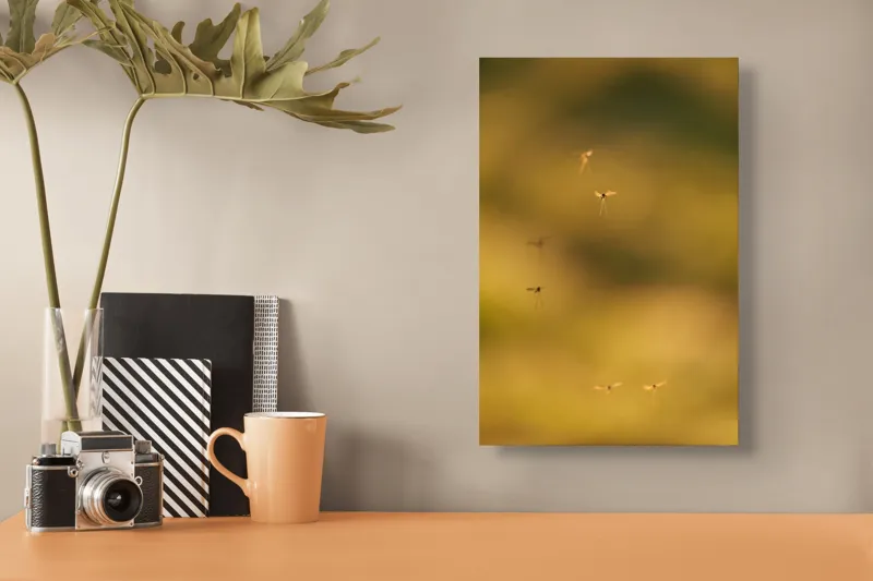 Tablou Canvas, "Dansul țânțarilor în lumina apusului", Țânțari, Zbor, Etereal, Apus, Delicatețe, Natură, 26 x 39 cm – poza 3