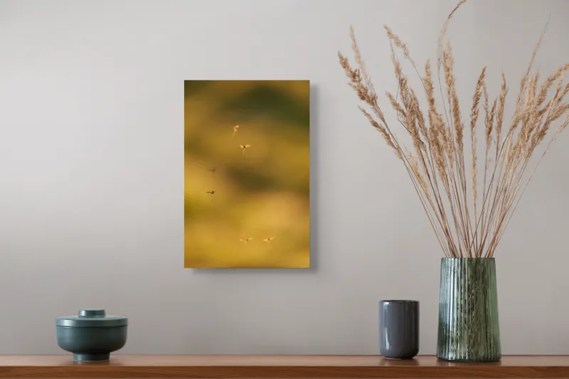 Tablou Canvas, "Dansul țânțarilor în lumina apusului", Țânțari, Zbor, Etereal, Apus, Delicatețe, Natură, 26 x 39 cm – poza 5