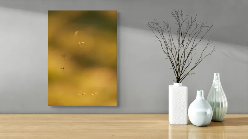 Tablou Canvas, "Dansul țânțarilor în lumina apusului", Țânțari, Zbor, Etereal, Apus, Delicatețe, Natură, 39 x 54 cm – poza 4