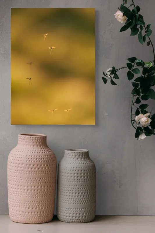 Tablou Canvas, "Dansul țânțarilor în lumina apusului", Țânțari, Zbor, Etereal, Apus, Delicatețe, Natură, 39 x 54 cm – poza 6