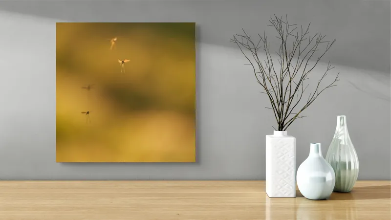 Tablou Canvas, "Dansul țânțarilor în lumina apusului", Țânțari, Zbor, Etereal, Apus, Delicatețe, Natură, 50 x 50 cm – poza 3