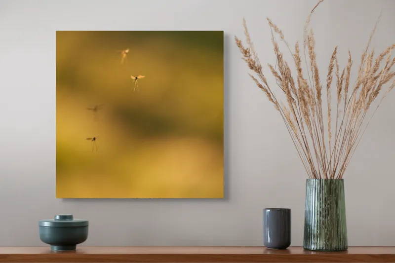 Tablou Canvas, "Dansul țânțarilor în lumina apusului", Țânțari, Zbor, Etereal, Apus, Delicatețe, Natură, 50 x 50 cm – poza 4